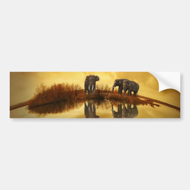 Elephant Bumper Sticker (Front)
