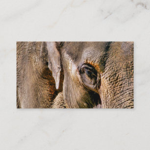 ELEPHANT BUSINESS CARD