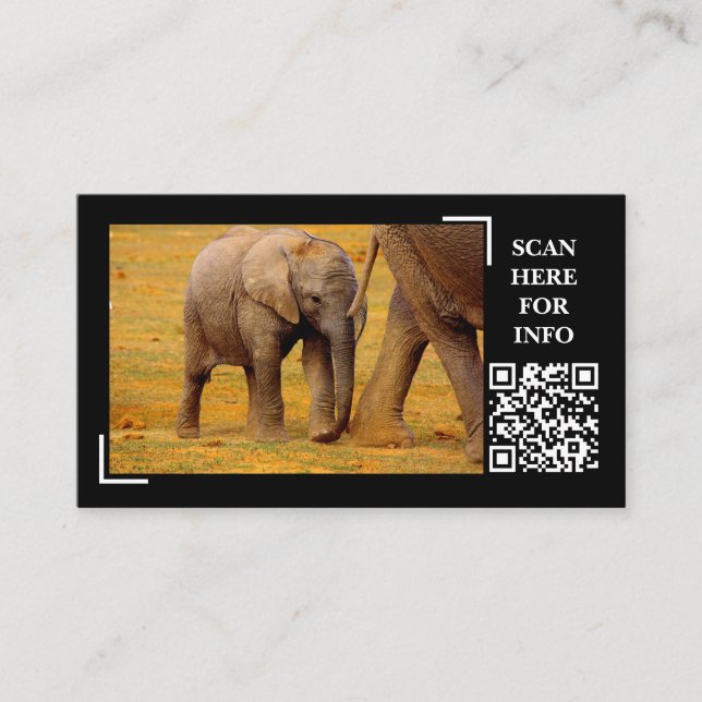 Elephant Calf Wildlife Photography Custom Business Card (Front)