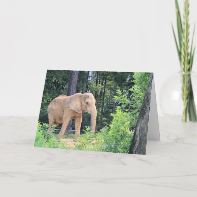 Elephant Card (Front)