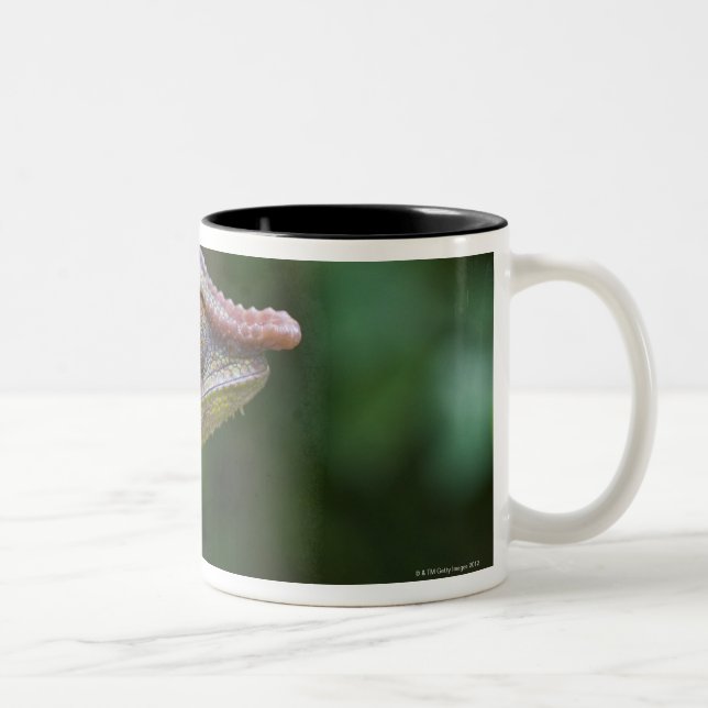 Elephant chameleon, Madagascar Two-Tone Coffee Mug (Right)