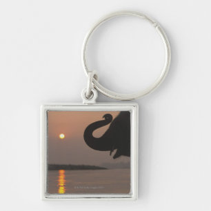 Elephant, Chitwan National Park, Nepal Key Ring