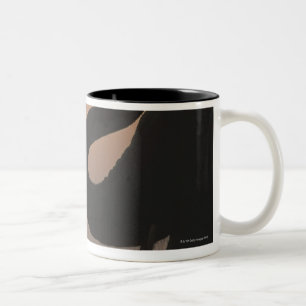 Elephant, Chitwan National Park, Nepal Two-Tone Coffee Mug