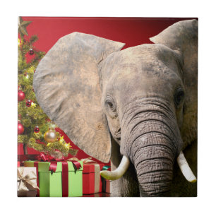 Elephant Christmas Greetings Ceramic Tile