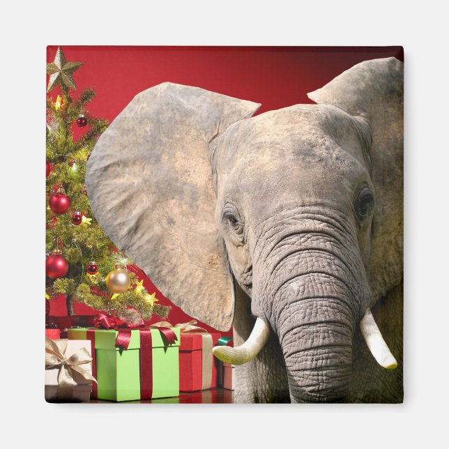Elephant Christmas Greetings Magnet (Front)