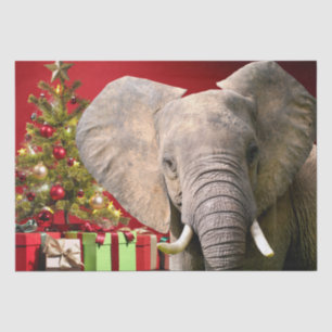 Elephant Christmas Greetings Tissue Paper