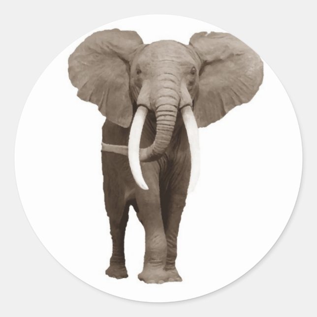 Elephant Classic Round Sticker (Front)