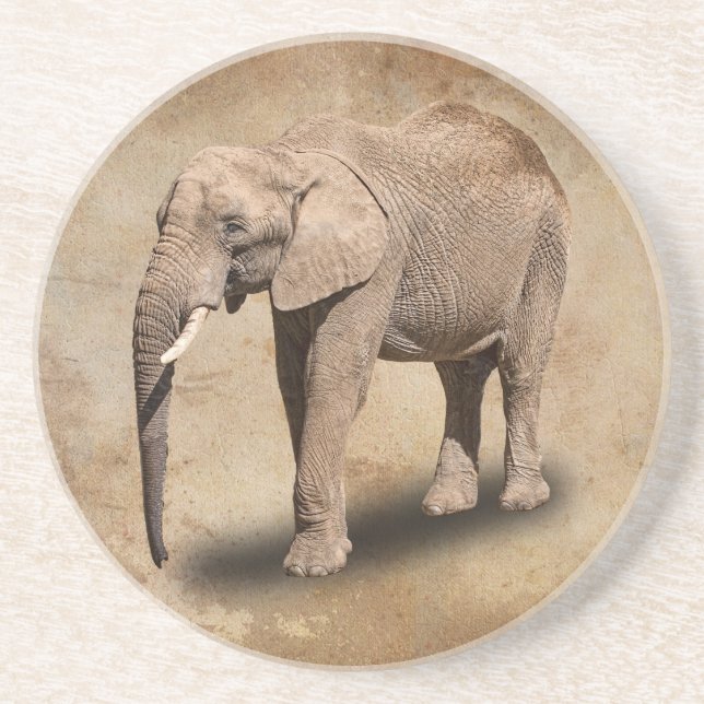 ELEPHANT COASTER (Front)