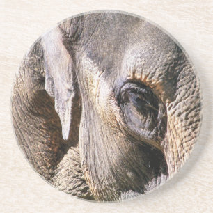 ELEPHANT COASTER