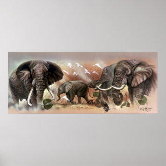 Elephant Collection Poster