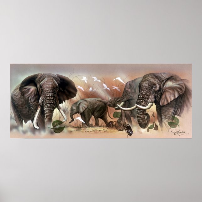 Elephant Collection Poster (Front)