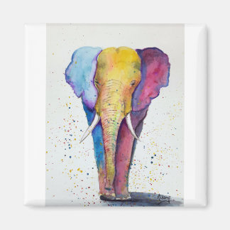 Elephant colorful watercolour magnet