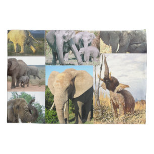 Elephant Colour Photo Pillowcase