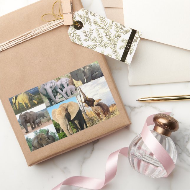 Elephant Colour Photo Rectangular Sticker (Gifting)