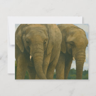 Elephant Companions in Savannah Light Postcard