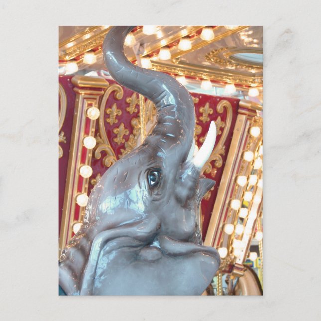 Elephant Coral Ridge Mall, IA Postcard (Front)