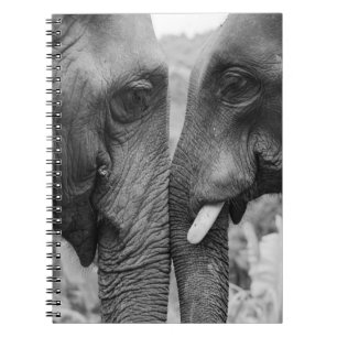 ELEPHANT COUPLE NOTEBOOK