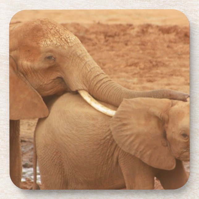 elephant custom personalise diy Anniversaries Coaster (Front)