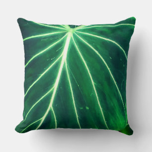 Elephant Ear Leaf Close-Up Abstract Cushion