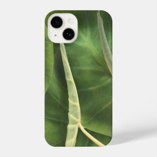 Elephant Ear Leaf   Tropical Green Leaves iPhone 14 Case