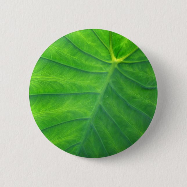 Elephant Ears - Colocasia 6 Cm Round Badge (Front)