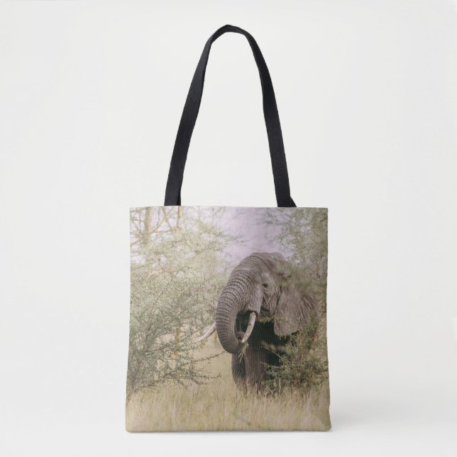 ELEPHANT EATING OFF A TREE TOTE BAG (Front)