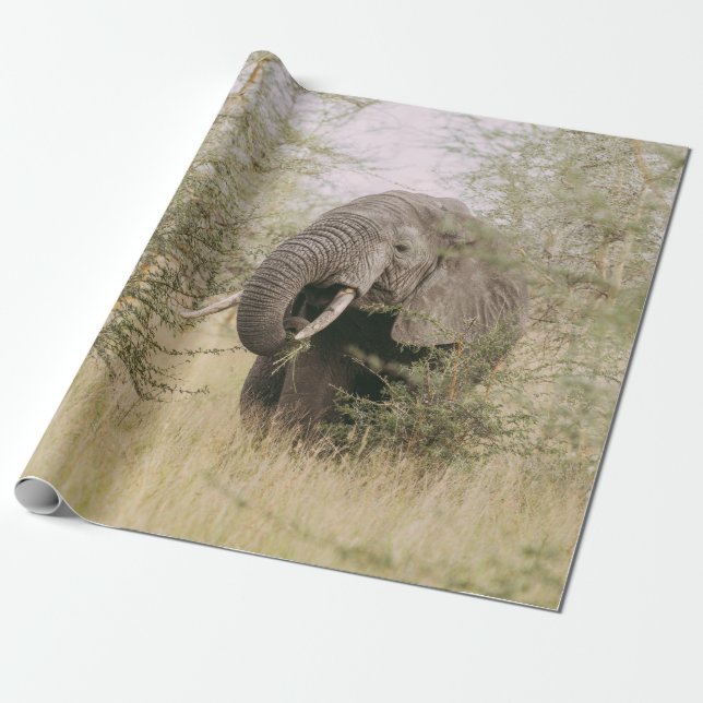 ELEPHANT EATING OFF A TREE WRAPPING PAPER (Unrolled)