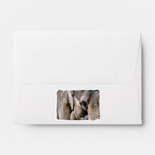 ELEPHANT ENVELOPE (Back (Top Flap))