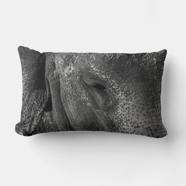 Elephant Eye Pillow (Front)