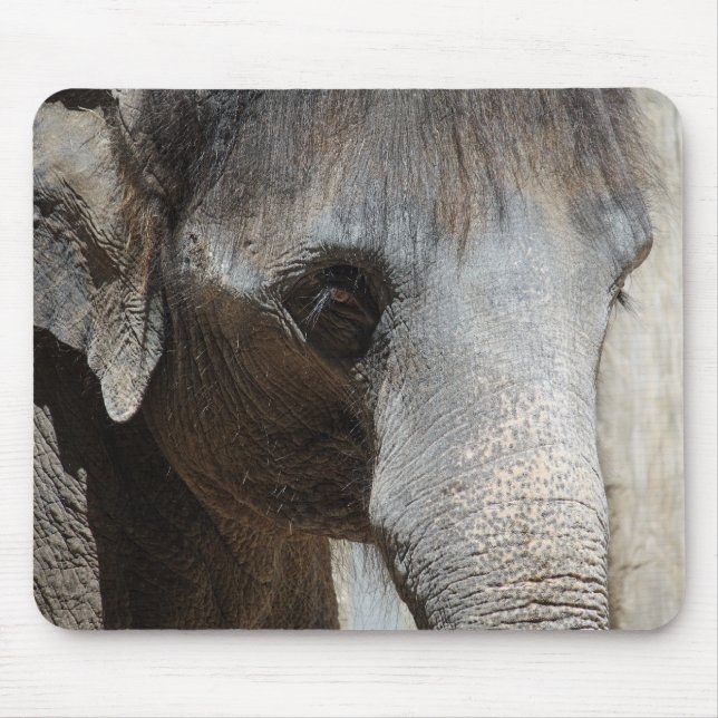 Elephant Eyes mousepad (Front)