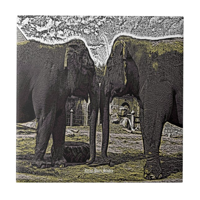 Elephant Eyes Tile (Front)