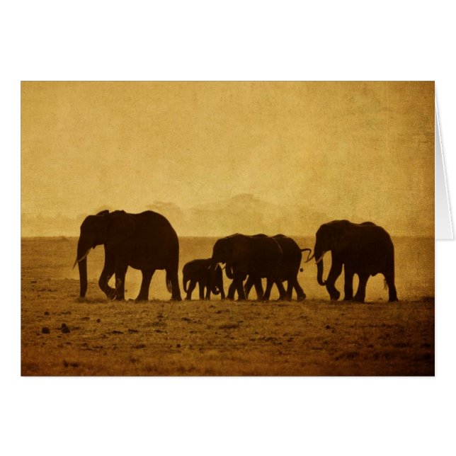 Elephant Family (Front Horizontal)