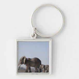 Elephant Family background blue sky Key Ring