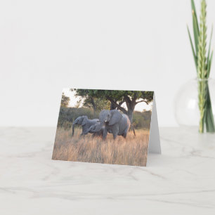 ELEPHANT FAMILY CARD