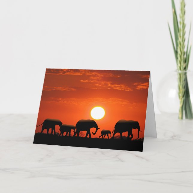 Elephant family card (Front)