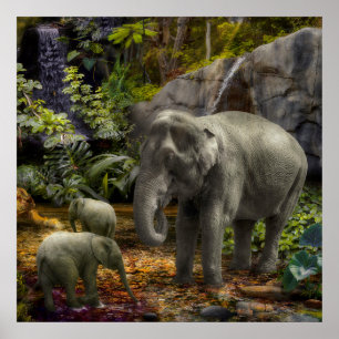 Elephant Family "ELEPHANT RAIN FOREST PARTY" Poster