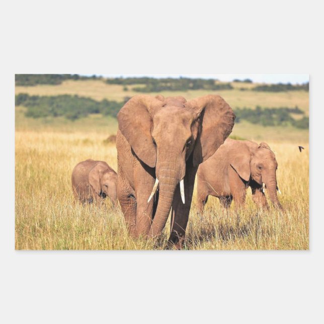 Elephant family in the bushes rectangular sticker (Front)