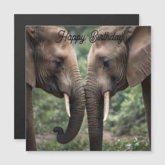 Elephant Family Love