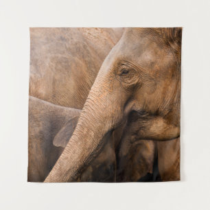 Elephant Family: Majestic Wildlife Tapestry