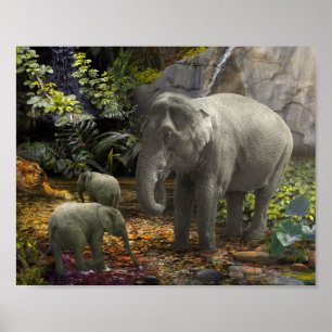 Elephant Family RAIN FOREST PARTY Poster