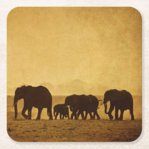 Elephant Family Square Paper Coaster
