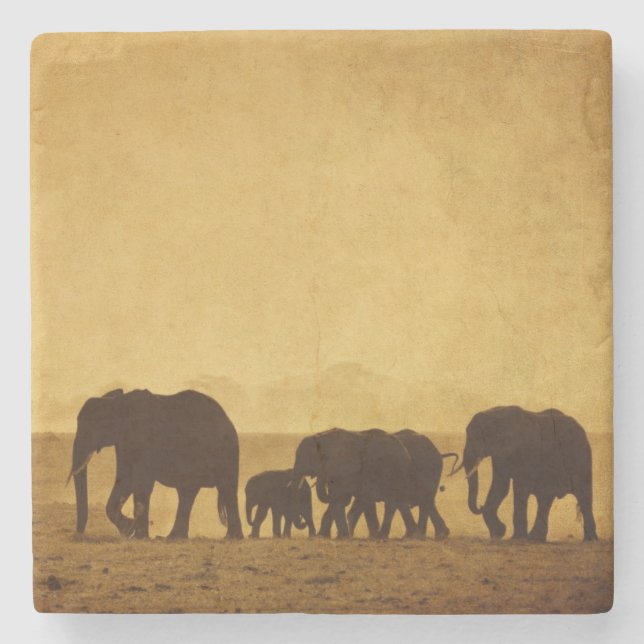 Elephant Family Stone Coaster (Front)