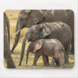 Elephant family /W Baby Showing Affection Mouse Pad