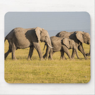 Elephant Family Walking Mouse Pad