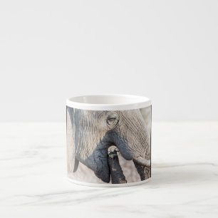 Elephant feeding espresso cup