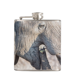 Elephant feeding hip flask