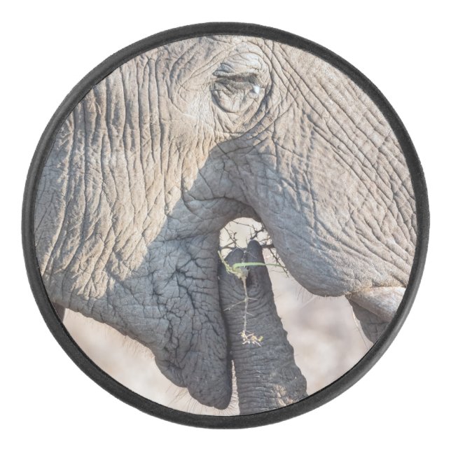 Elephant feeding hockey puck (Front)