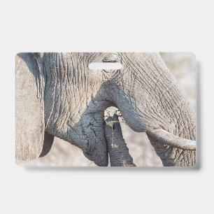 Elephant feeding ID badge