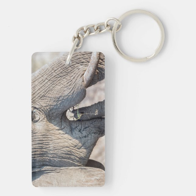 Elephant feeding key ring (Back)