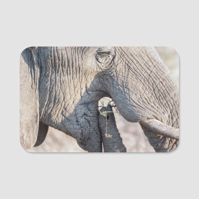 Elephant feeding name tag (Front)